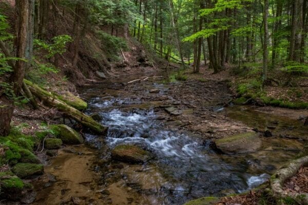 Allegheny National Forest - The Best Campgrounds in PA